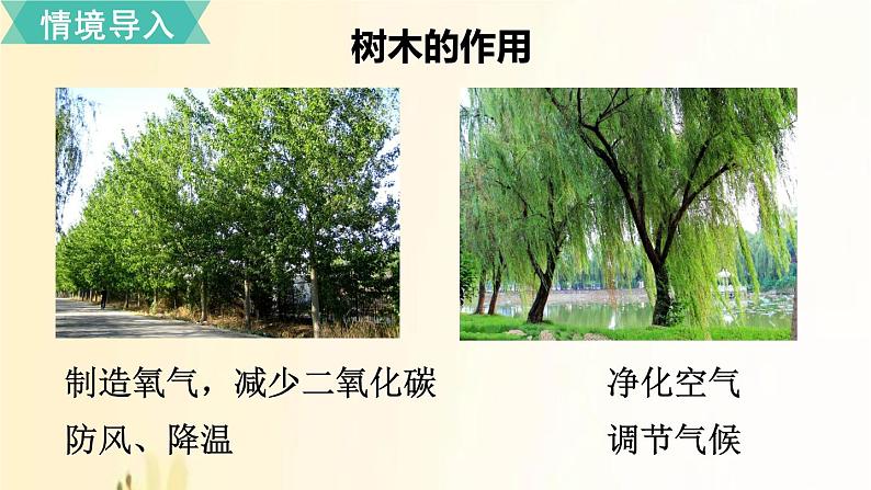 北师大版数学一年级上册 第5课时  有几棵树 课件第2页