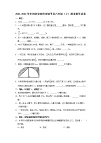 河南省南阳市镇平县2021-2022学年六年级上学期期末数学试卷