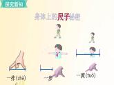 北師大版數(shù)學(xué)二年級上冊 第2課時 尋找身體上的數(shù)學(xué)“秘密” 課件