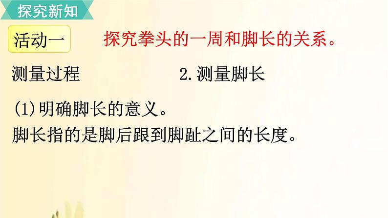 北师大版数学二年级上册 第2课时 寻找身体上的数学“秘密” 课件第8页