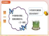 6.2《栽蒜苗（一）》课件+教案+导学案