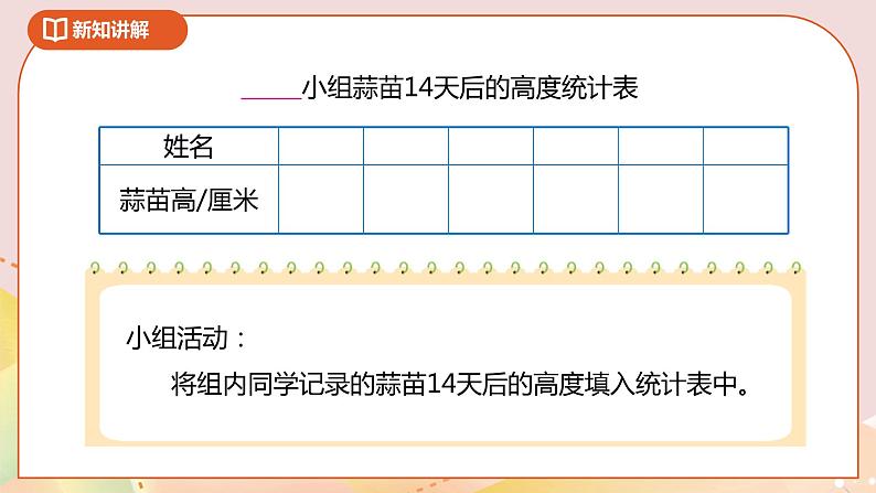 6.2《栽蒜苗（一）》课件+教案+导学案08