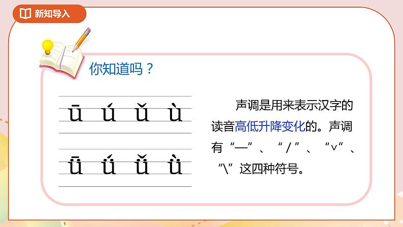 6.3《栽蒜苗（二）》课件+教案+导学案04