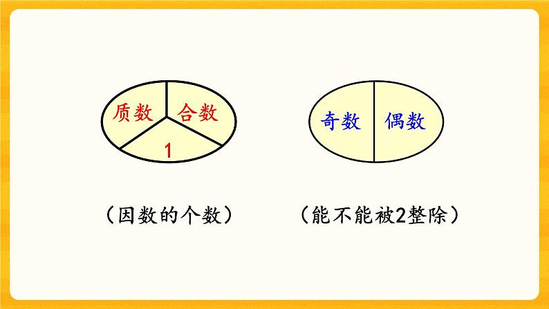 1.6《 合数、质数》课件+课时练（含答案）05