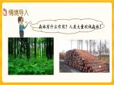 4.9《 一年“吃掉”多少森林》课件+课时练（含答案）