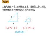 北師大版六年級數學下冊課件 第二單元 練習二