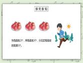 人教版小学数学二年级下册 10.1 除法 课件（送教案+练习）