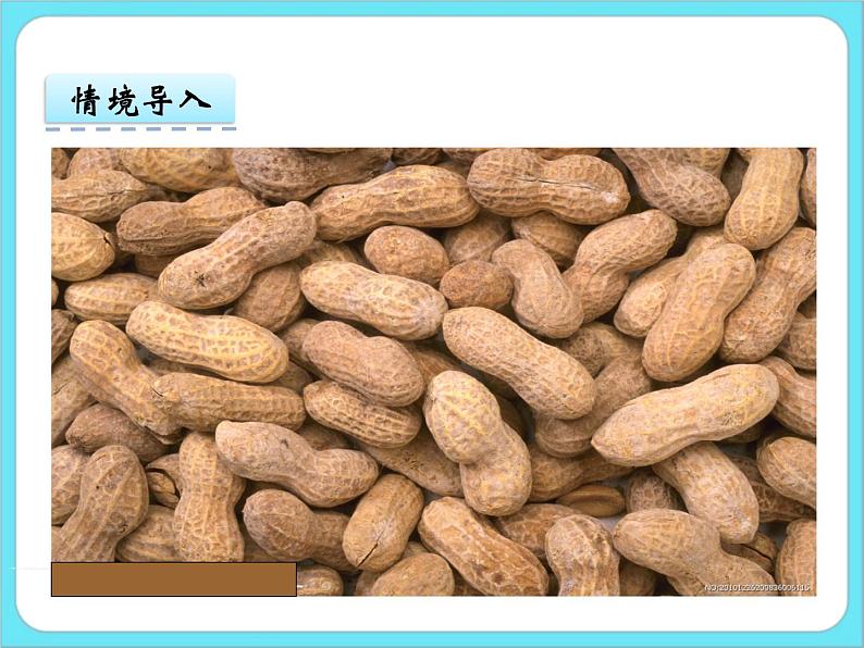3.1数花生 课件+练习03