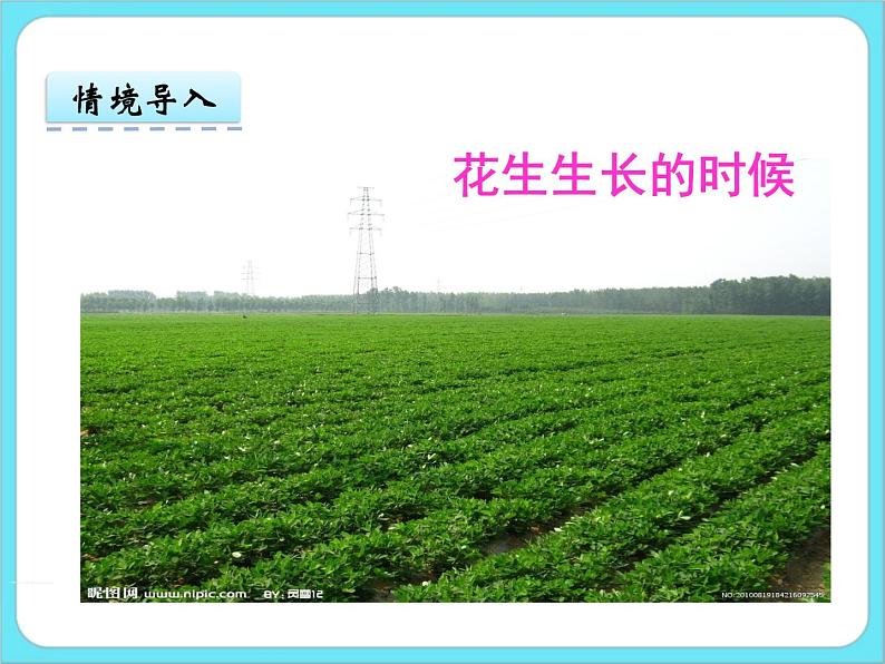 3.1数花生 课件+练习04