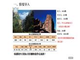 泰山古樹---計算器課件PPT