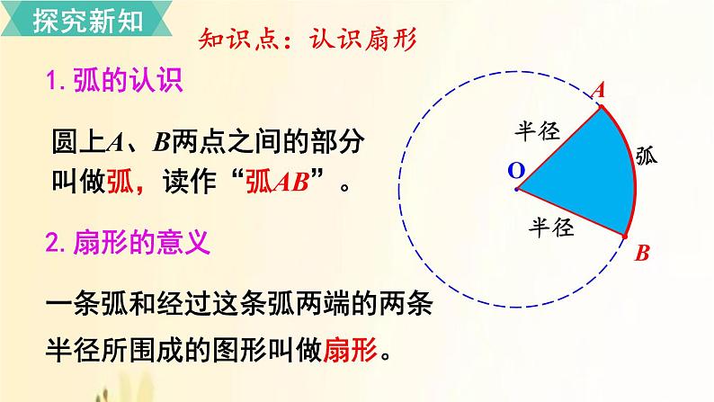 人教版数学六年级上册 第7课时  扇形的认识 课件第3页