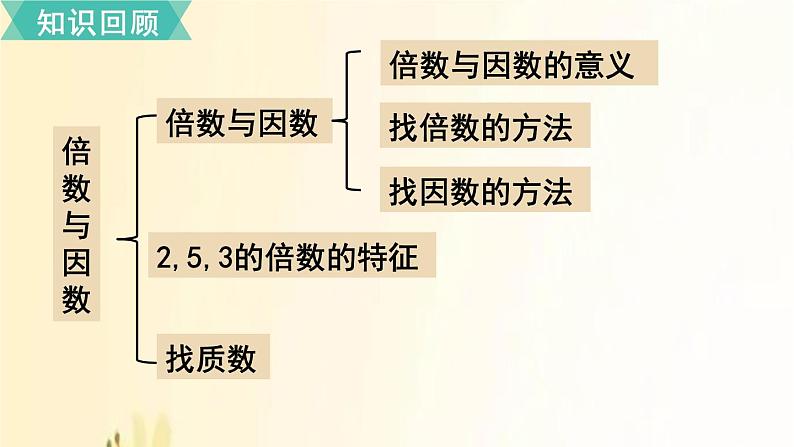 北师大版数学五年级上册 第三单元复习 课件02