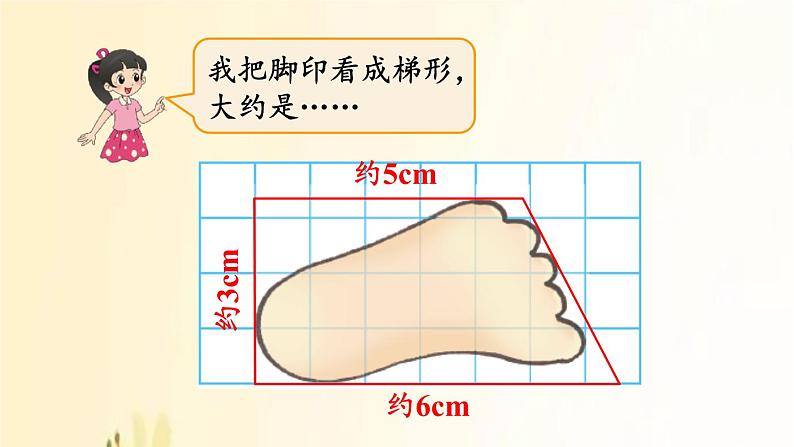 北师大版数学五年级上册 第2课时 探索活动：成长的脚印 课件第5页