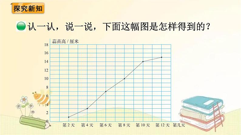 北师大版数学四年级下册 第4课时  栽蒜苗（二） 课件第4页