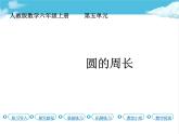 第3课时 圆的周长课件PPT
