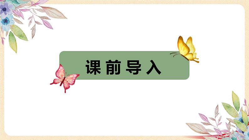 第三单元1.数一数（一）（课件）2023学年二年级数学下册同步备课（北师大版）03