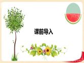 第三單元5.蠶絲（課件）2023學(xué)年四年級數(shù)學(xué)下冊同步備課（北師大版）