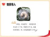 第三單元5.蠶絲（課件）2023學(xué)年四年級數(shù)學(xué)下冊同步備課（北師大版）