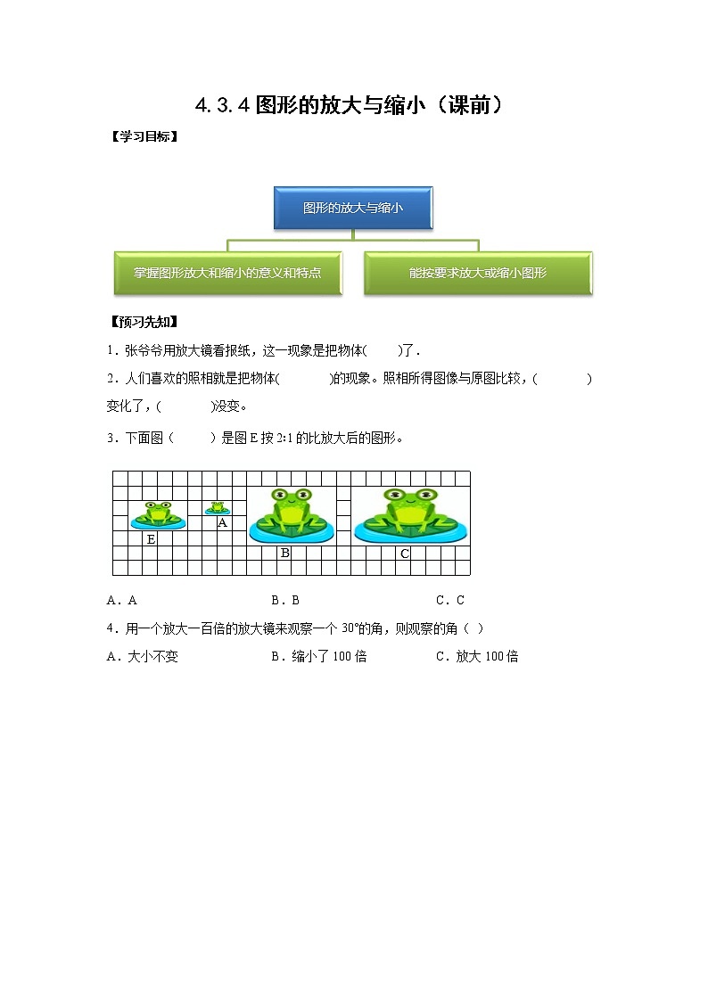 4.3.4图形的放大与缩小（课前）-【课前●课中●课后】小学数学六年级下册人教版 试卷01