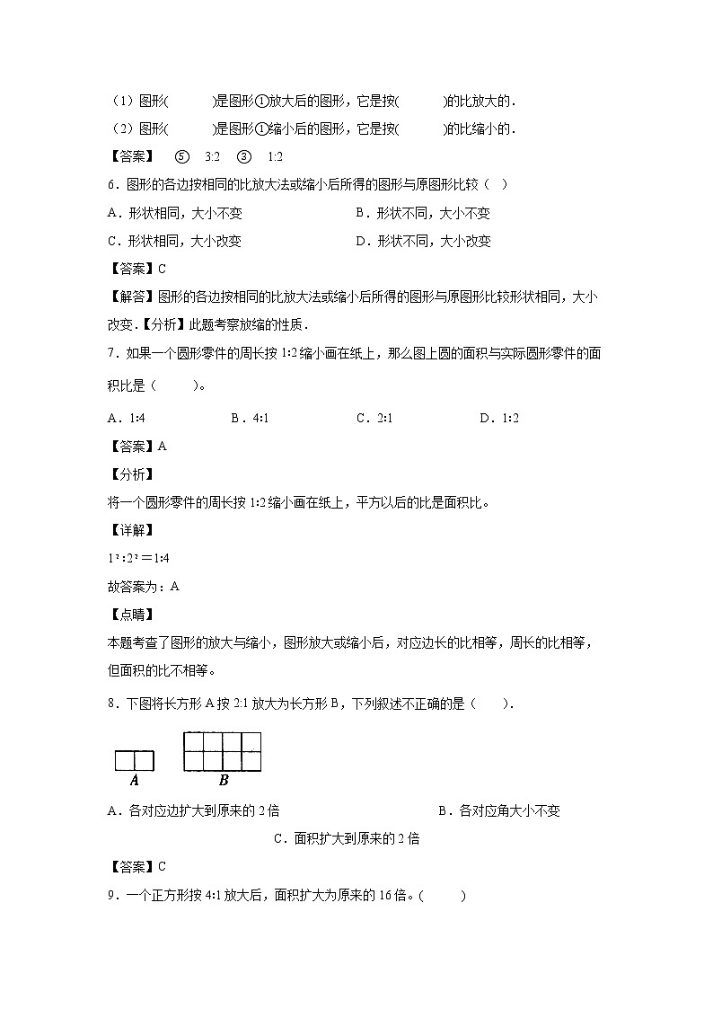 4.3.4图形的放大与缩小（课后）-【课前●课中●课后】小学数学六年级下册人教版 试卷02