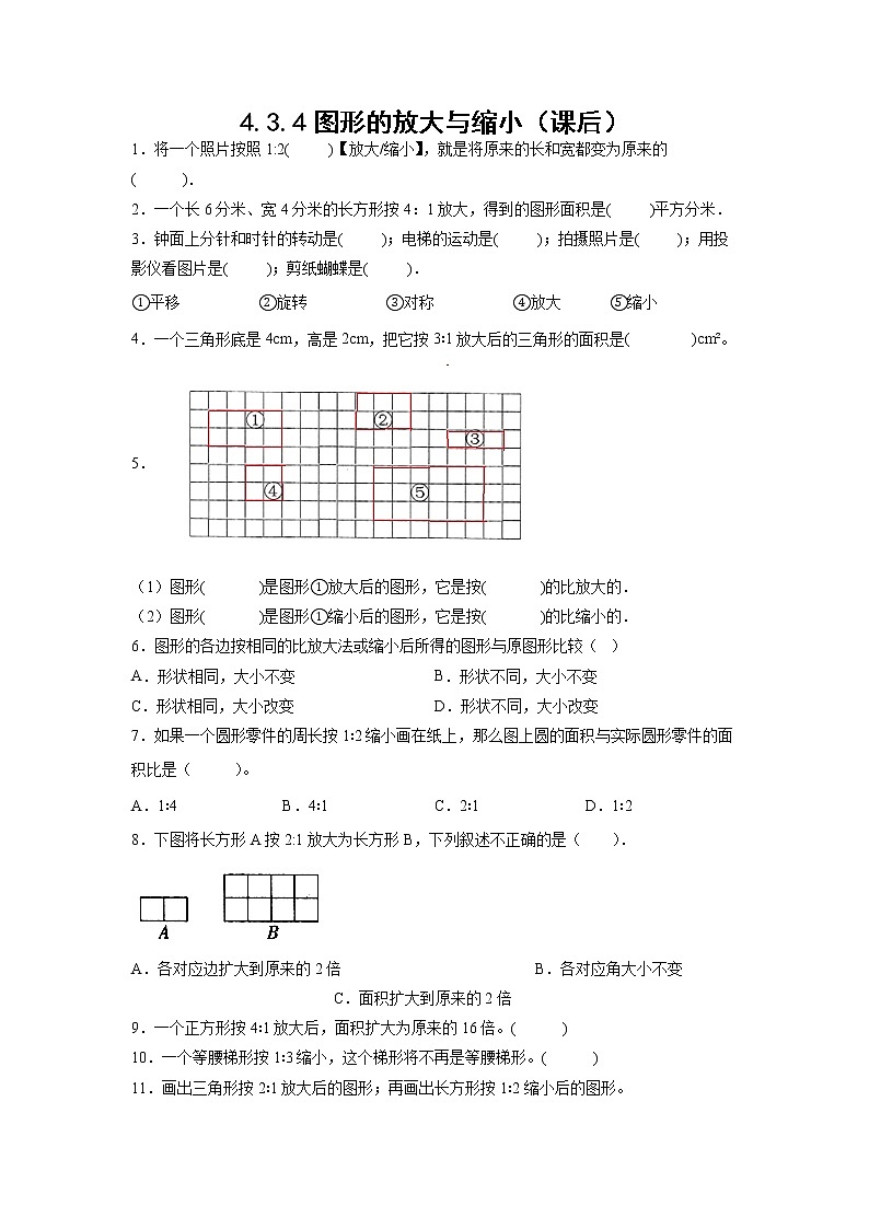 4.3.4图形的放大与缩小（课后）-【课前●课中●课后】小学数学六年级下册人教版 试卷01