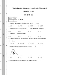 【小升初】山东省青岛市2022-2023学年升学分班考数学模拟试卷AB卷（含解析）