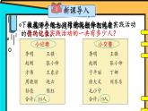 青岛版数学四年级下册 综合与实践 智慧广场 课件