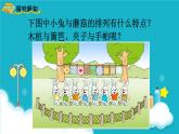 蘇教版數(shù)學(xué)三年級上冊 探索規(guī)律  間隔排列 課件
