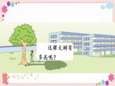 大樹(shù)有多高（教學(xué)課件）