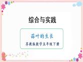综合与实践  蒜叶的生长（教学课件）