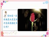 综合与实践  蒜叶的生长（教学课件）