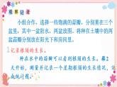 综合与实践  蒜叶的生长（教学课件）