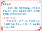 综合与实践  蒜叶的生长（教学课件）