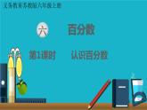 苏教版数学六年级上册 第1课时 认识百分数 课件
