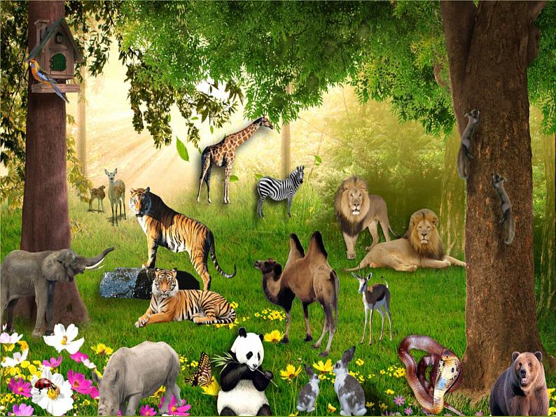 【课件】认识吨202