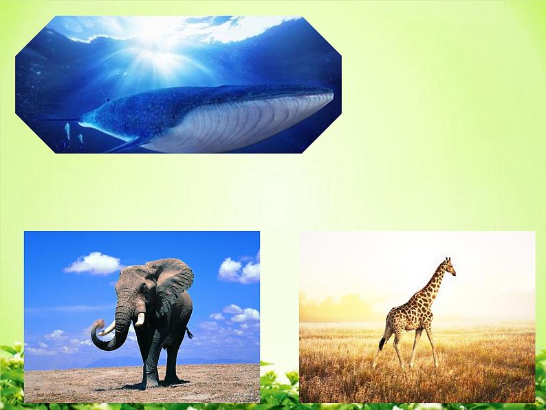 【课件】认识吨203