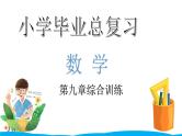 小学毕业数学总复习（小升初）专题九 数学广角 九章综合训练（课件）