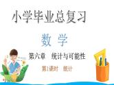 小学毕业数学总复习（小升初）专题六 统计与可能性 1统计（课件）