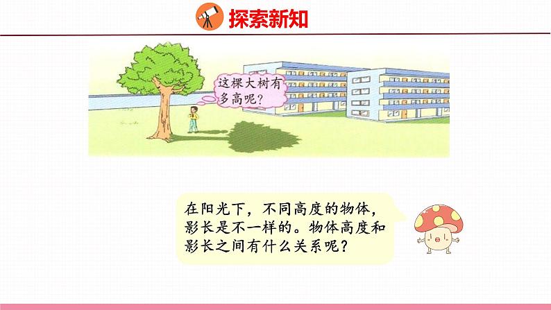 大树有多高（课件）苏教版数学六年级下册05