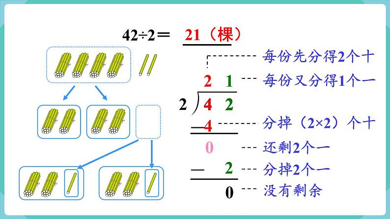 人教版三年级数学下册课件 第2单元 第4课时  两位数除以一位数（商是两位数）第5页