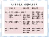 3.1 统计（1） 课件（送练习） 苏教版六下数学