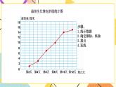 总复习 统计与概率 第4课时 课件（送教案）