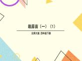 六 数据的表示和分析 栽蒜苗（一）（1） 第2课时 课件（送教案）