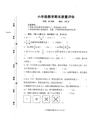 河南省信阳市平桥区2022-2023学年六年级上学期期末数学试卷