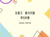 總復(fù)習(xí) 專題一 數(shù)與代數(shù) 第11課時(shí) 常見的量 課件（送教案）