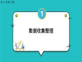 1.1《数据收集整理》课件+教案