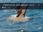 六 小數(shù)的認識 第1課時 小數(shù)的意義 課件+教案