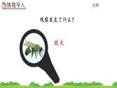 4.3.5 图形的放大与缩小课件PPT