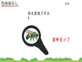4.3.5 图形的放大与缩小课件PPT