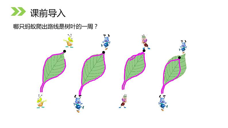 认识周长  三年级上册课件PPT第3页